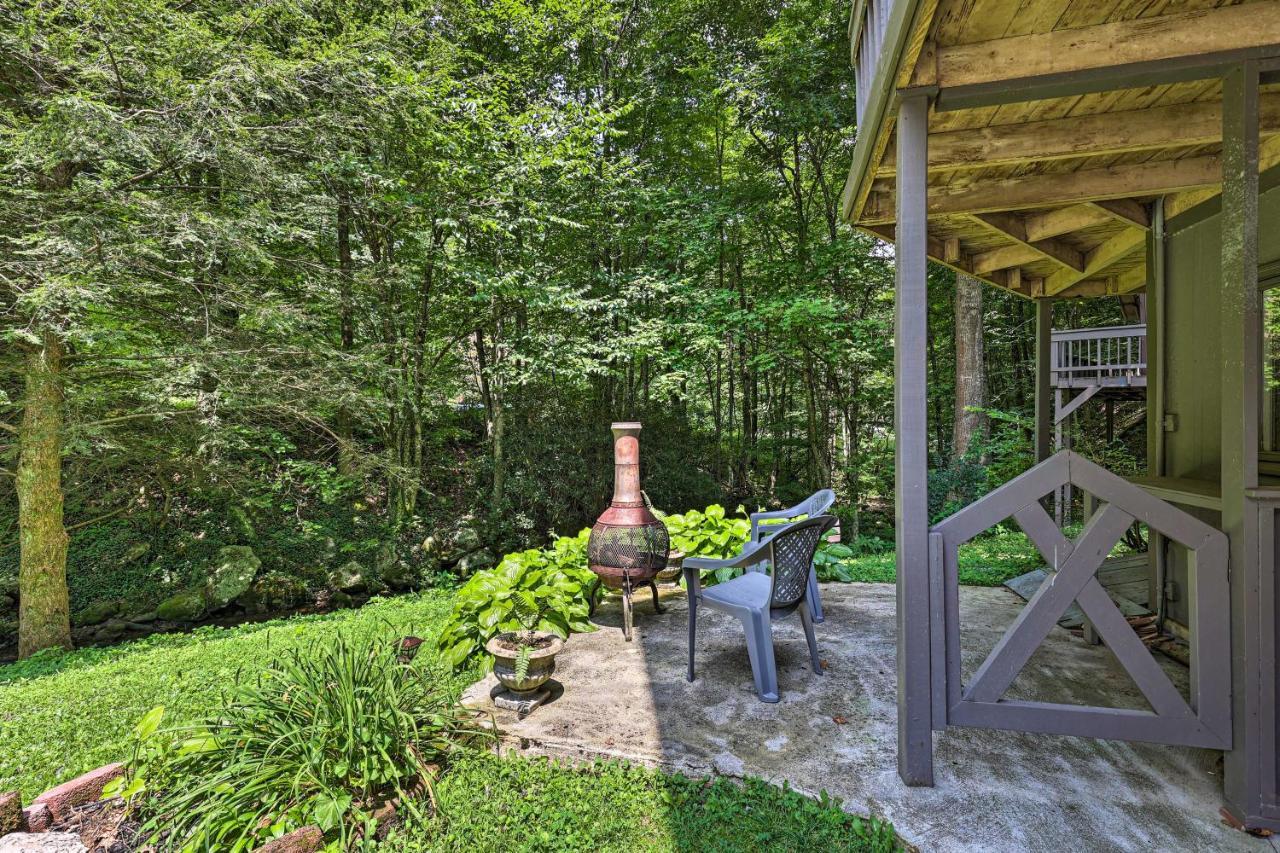 Creekside Roan Mountain Cabin Walk To Trails Exterior foto