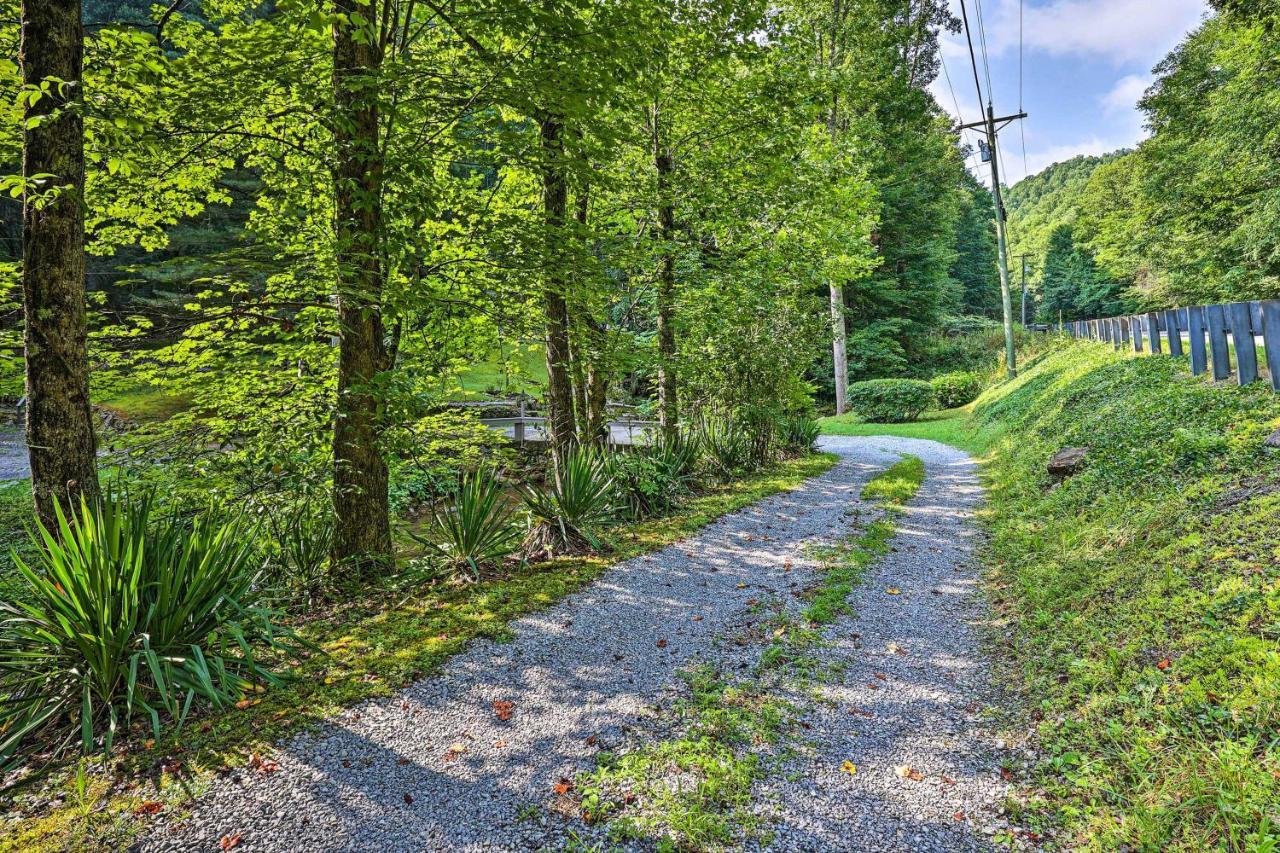 Creekside Roan Mountain Cabin Walk To Trails Exterior foto