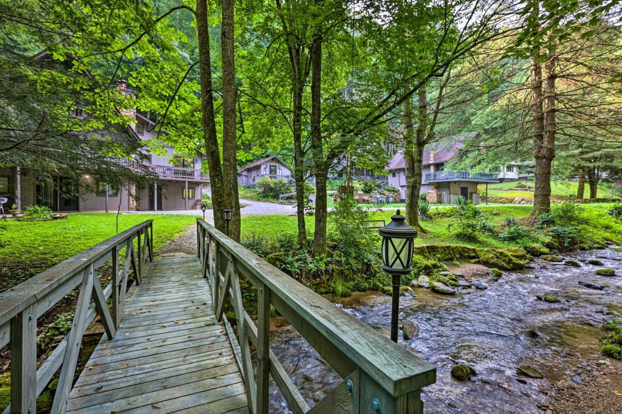 Creekside Roan Mountain Cabin Walk To Trails Exterior foto