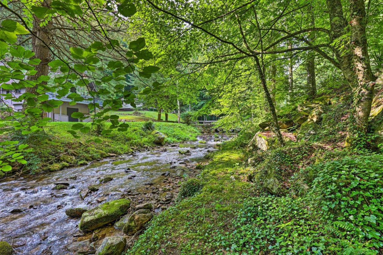 Creekside Roan Mountain Cabin Walk To Trails Exterior foto